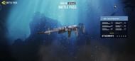SKS - Special Operations (Image via Activision)